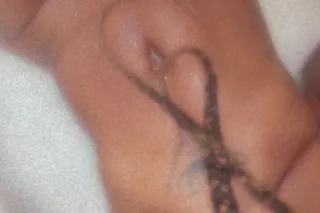 Make Memorial Day Special 🙌🥰 - Image 3