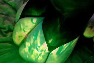 BBW HOT MILF 😘 cummm see me for an unforgettable time!!!! - Image 10