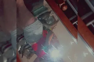 early bird incall discount - Image 4