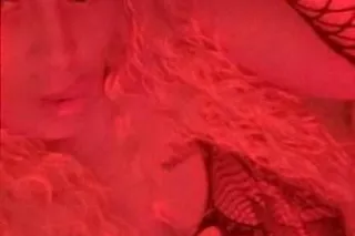 💥100 hh special tonight!!!💥🧬 R̳E̳A̳L̳ and R̳E̳A̳D̳Y̳ 『 😻 fresh faced kitty *𝙆𝘼𝙏* 【 Available ℕ𝕆𝕎💖 - Image 3