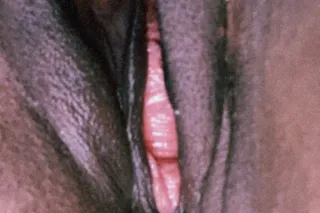 Sticky Paradise Perfect Size To Fold Up 💋 - Image 2