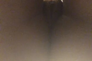 Lil Chocolate Freak best head😛... - Image 3