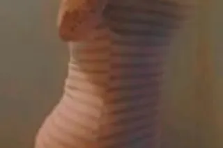 💸Greek Hh special 150🌹💦PARTY ☃FAVORS 🧊⛽ AVAILABLE☃🧊⛽❄ - Image 8