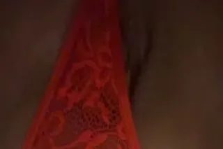 👅exotic, long legged mixed que... - Image 2