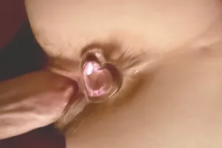 kitty is back - Image 2