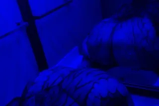 INCALL DEALS 💋💋FACETIME SHOWS ... - Image 3