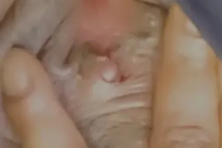 MsPressure 💦💦Ready - Image 1