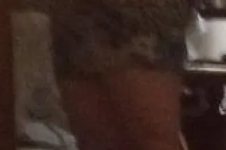 🔥 HOT & SPICY 🔥 - Image 6