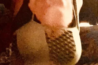 READ FIRST!!!🎉 ☘ ❄ 🌳 Party friendly Gym College Party Girl Memorial Specials Text Only Nyack - Image 12