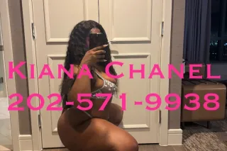 Chocolate Upscale Companion Waiting For You✨🌸 - Image 6