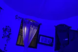 💙PORNSTAR🅿 BACK IN LAFFY💙 SLOP... - Image 4