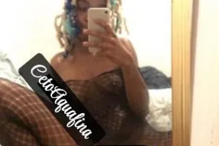 New In Town| Petite Chocolate Spinner| Westcoast Favorite Supersoaker - Image 6