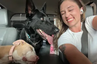 Southern Heat, Savannah Sweet ... - Image 3