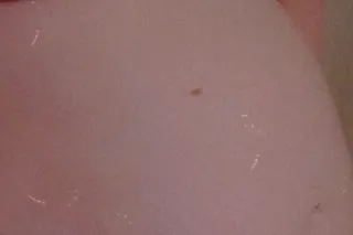 PREGNANT SEXY BIG BOOTY MILF!! 100 SPECIAL VIDEO CHAT, SEXTING, BBBJ, LET'S HAVE FUN! - Image 6