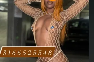 Sexy coco call now and schedul... - Image 3
