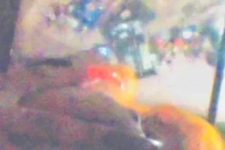 🎵IM AVAILABLE NOW TEXT 4 NECK i lick that BELL HEAD2 ANAL BLOW OUT BIG BUBBLE BOOTY STRIPPER NEAR U - Image 4