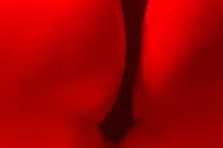 💋Big Juicy Bootty💋Todays My Bi... - Image 2
