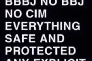 Back by popular Demand 🧨🥂Your favorite cougar companion - Image 9