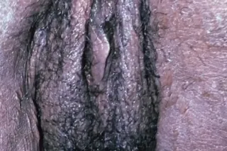 SUPER HEAD SUPER WET - Image 2