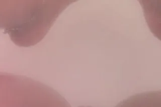 INCALLS & OUTCALLS ONLY - 31 - Image 1