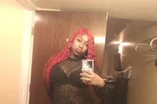 INCALL OUTCALL CARMEET Exotic, insatiable, and wicked in the sheets. Let’s stop talking and start exploring exactly what I can do to you. - Image 3