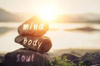 bodywork - 43 - Image 4