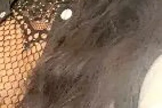 ✨Local Outcalls available now✅... - Image 3