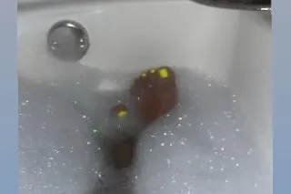 outcalls / Incalls must faceti... - Image 1