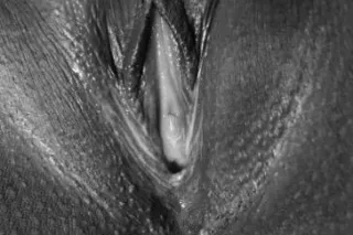 INCALLS ONLYY - 25 - Image 2