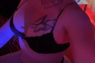 Hello, new baby in Arlington, ... - Image 3