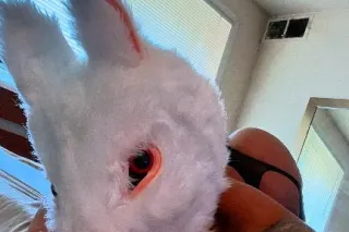 CHINA (national Harbor incall ) - Image 8