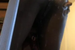 100%REAL‼NO LOW BALLERS❗NO POL... - Image 2