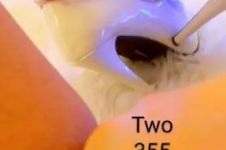 🌈🅢🅛🅘🅓🅔 IᑎTO ᗰY ᑭOT Oᖴ GOᒪᗪ🍯 🅣🅐🅢🅣🅔 ᗰY ᖇᗩIᑎᗷOᗯ 🌈 - Image 6