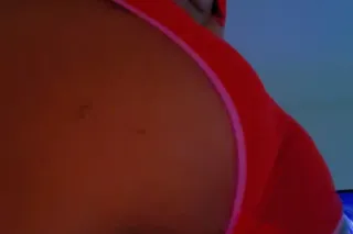 Exoctic Red Bone Ready To Play... - Image 1