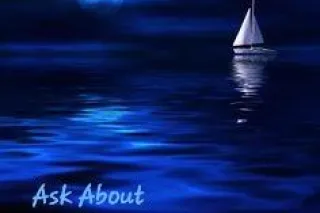 It Seems... - Image 10