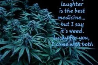 It Seems... - 57 - Image 2