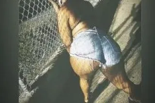 Im bacc availble and ready to meet 👅🦋 (incall, outcall, ) - Image 6