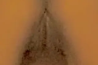 BACKDOOR‼ANAL‼ TRANS with pussy - Image 8