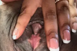 BACKDOOR‼ANAL‼ TRANS with puss... - Image 1