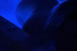 Girl Next Door, Creme de la creme, Wetter With You - Image 9