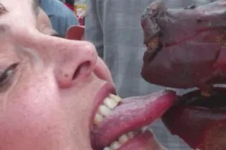 MORNING KWIKKILIKKI - 49 - Image 1