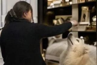 Classy-Sexy-Authentic-Real ALW... - Image 3