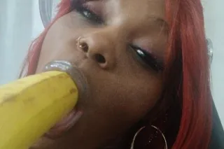 EARLY BIRD SPECIAL $65 $65 $65... - Image 1