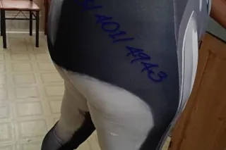 📢Attention All 🍫🍫 🍫 Lover's📢 Look No Further. Mature. Experienced. Different Type Of Vibe. Satisfaction Guaranteed. No Games. No Laws. First Cum. First Serve. - Image 9