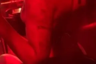 Experience the Enchantment of ... - Image 4