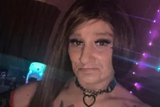 Wild 🐈 on the prowl... Come on... - Image 4