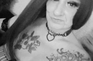 Wild 🐈 on the prowl... Come on over and get the 🐈 meow! - Image 7