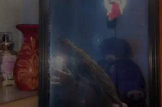 What do i get for my birthday 🎀 - Image 6