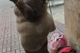 🫶🏿 Head Only At The Moment | G... - Image 1