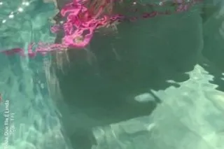 INCALLS 😍 - 20 - Image 3